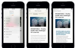 Median.co screenshot 2