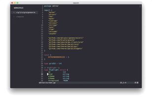 Goneovim screenshot 1