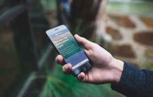 Good.travel screenshot 1