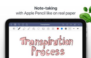 GoodNotes screenshot 1