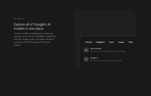 Google AI Studio screenshot 1