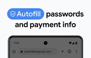 Google Chrome screenshot 1