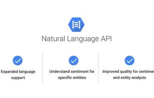 Google Cloud Natural Language screenshot 1