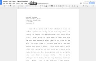 Google Docs Offline screenshot 1
