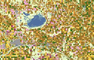 Google Earth Engine screenshot 2
