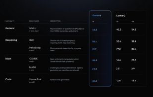 Google Gemma screenshot 1