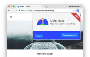 Google Lighthouse screenshot 3