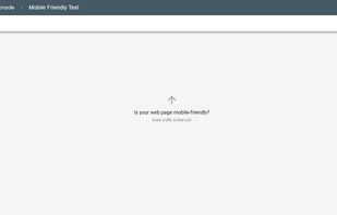 Google Mobile Friendly Test screenshot 1