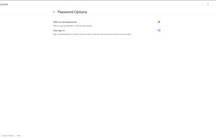 Google Password Manager screenshot 1