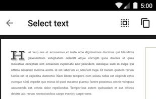Google PDF Viewer screenshot 1