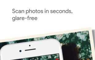 Google PhotoScan screenshot 1