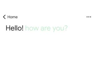 Google Translate screenshot 3