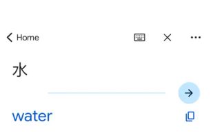 Google Translate screenshot 2