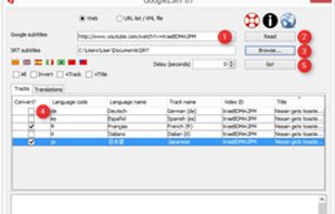 Google2SRT screenshot 1