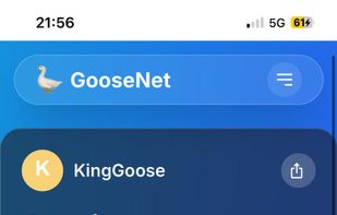 GooseNet screenshot 3