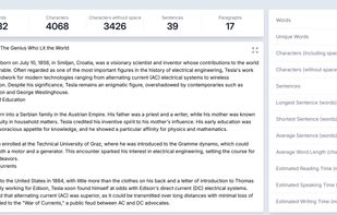 General and detailed statistics in the writing view