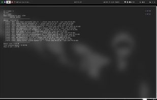 This screenshot shows Goxe's terminal output. It displays a 'Partial Report' where repetitive log messages (like update versions and errors) are grouped with their occurrence count (e.g., [74961] repetitions). At the bottom, it highlights the tool's high efficiency, showing a memory footprint of less than 1MB while processing large volumes of data.