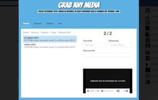 GrabAnyMedia screenshot 1