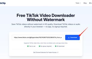 Tiktok Downloader-1
