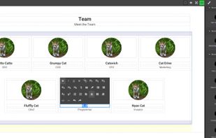 GraBulma screenshot 2