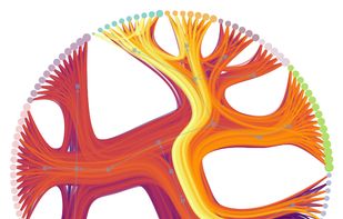 Statistical inference of modular network structure