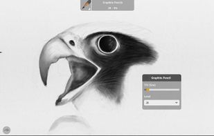 Graphiter screenshot 1