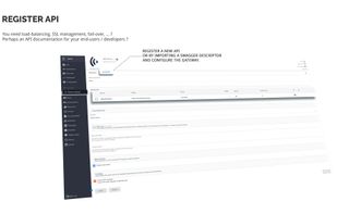 Gravitee.io screenshot 1