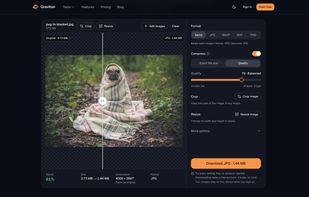 Compare before and after: 61% smaller, same size in pixels