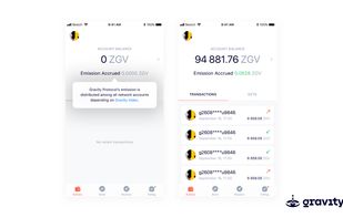 Gravity Solutions screenshot 3