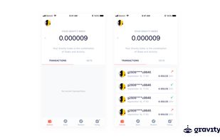 Gravity Solutions screenshot 2