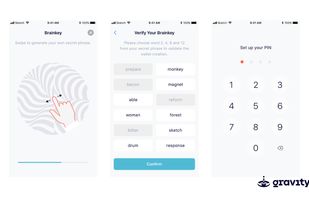 Gravity Solutions screenshot 1