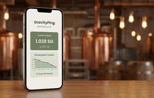 GravityPing screenshot 1