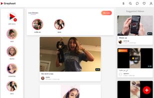 Grayhoot screenshot 1