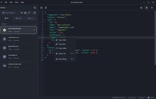Copy JSON paths, keys, and values
