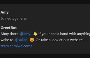 GreetBot screenshot 1