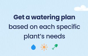 Greg - Plant Identifier & Care screenshot 3