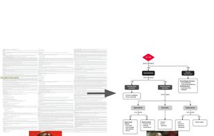 Leverage images as an alternative to text-based reference websites to decrease cognitive overload.