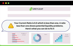 Stay on Track
Get notified anytime a key metric falls below the industry benchmarks. The Greyleaf team focuses on simplifying financial analysis for non-finance founders. 