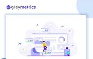 GreyMetrics screenshot 1