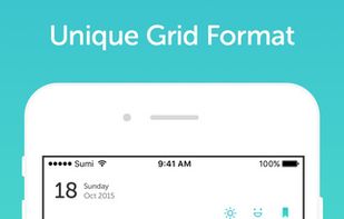 Grid Diary screenshot 1