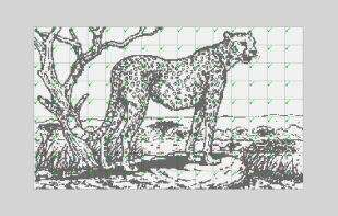 Griddlers Plus screenshot 3