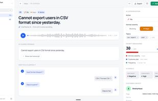 Feedback detail: the raw voice or text turned into a clean, categorized item by the AI pipeline.