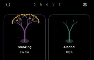 GroveResurrect screenshot 2