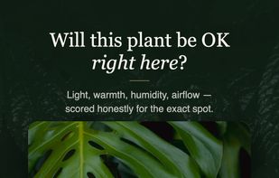 GrowSpot screenshot 1