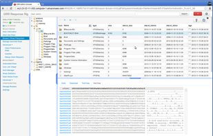 GRR Rapid Response screenshot 1