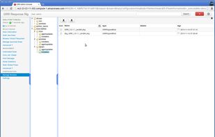 GRR Rapid Response screenshot 2