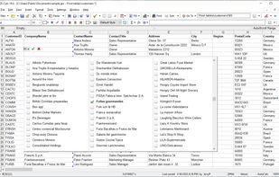 Use fast, multi-column drop-down lists with up to 32 million items.