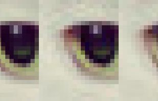 Example with original on the left, libjpeg in the middle and Guetzli on the right