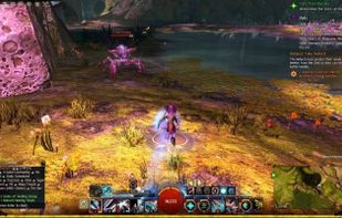 Guild Wars screenshot 1