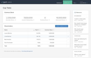 Gust Launch screenshot 1